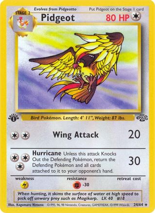 Pidgeot 024/64 - 1st Edition Jungle