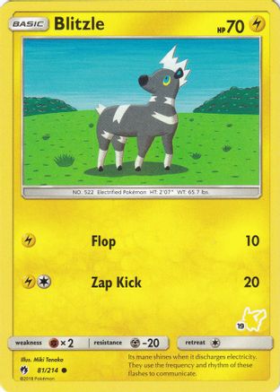 Blitzle (#19 Pikachu Stamped) 081/214 Battle Academy
