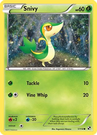 Snivy (Cosmos Holo) 001/114 - Holofoil Miscellaneous Cards & Products