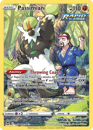 Passimian TG08/TG30 - Holofoil Silver Tempest