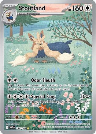 Stoutland 156/086 - Holofoil White Flare
