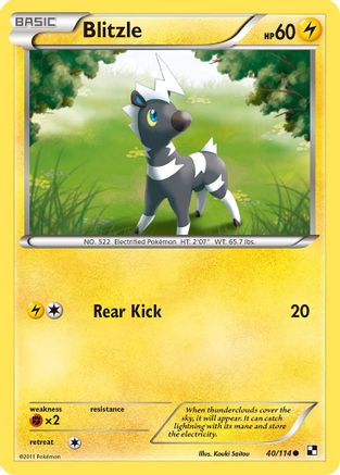 Blitzle 040/114 - Reverse Holofoil Black and White