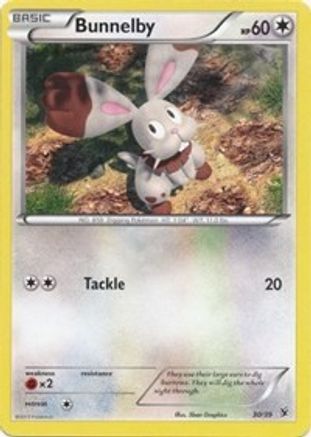 Bunnelby 030 Kalos Starter Set