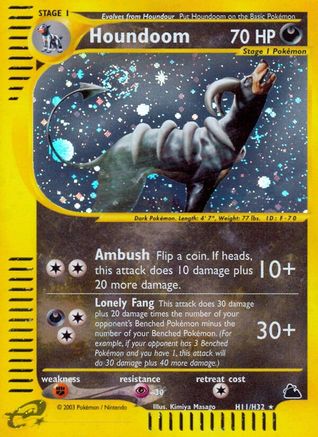 Houndoom H11/H32 - Holofoil Skyridge