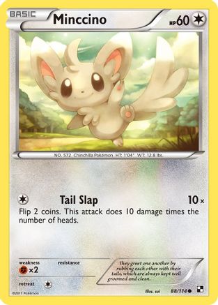 Minccino 088/114 - Reverse Holofoil Black and White