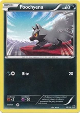 Poochyena 016 Kalos Starter Set
