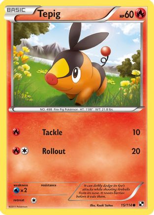Tepig 015/114 - Reverse Holofoil Black and White