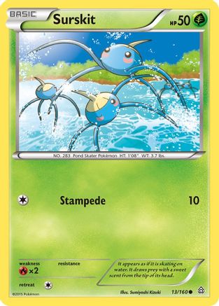 Surskit 013/160 - Reverse Holofoil XY Primal Clash