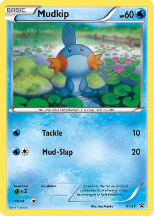 Mudkip XY38 - Holofoil XY Promos