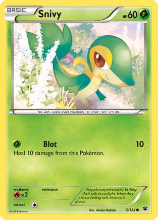 Snivy 005/124  - Reverse Holofoil XY  Fates Collide
