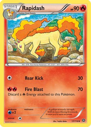 Rapidash 017/114 - XY  Steam Siege