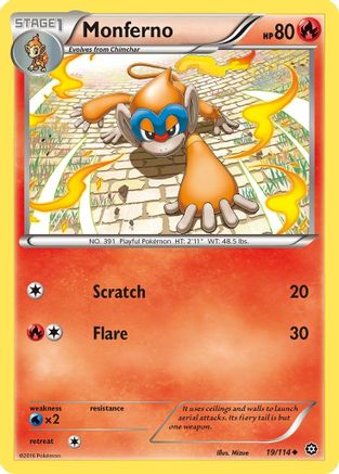 Monferno 019/114  - Reverse Holofoil XY  Steam Siege