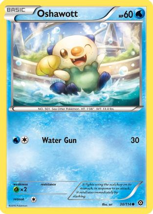 Oshawott 030/114  - Reverse Holofoil XY  Steam Siege