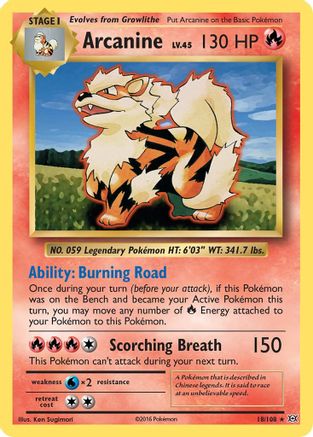 Arcanine 018/108  - Reverse Holofoil XY  Evolutions