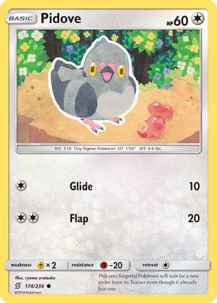Pidove 174/236  - Reverse Holofoil SM  Unified Minds