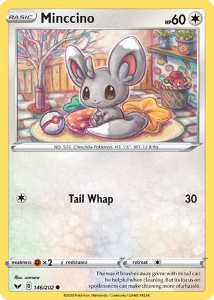 Minccino (146) (146) 146/202 Sword & Shield Base Set