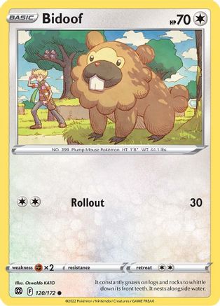 Bidoof 120/172 Brilliant Stars