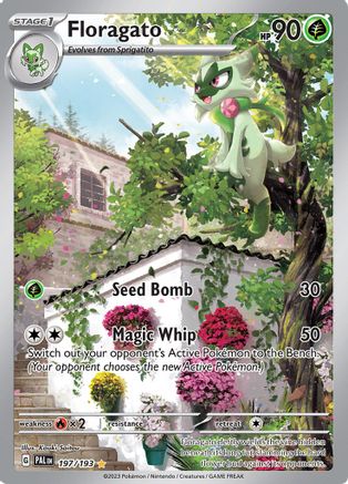 Floragato 197/193  - Holofoil SV02 Paldea Evolved