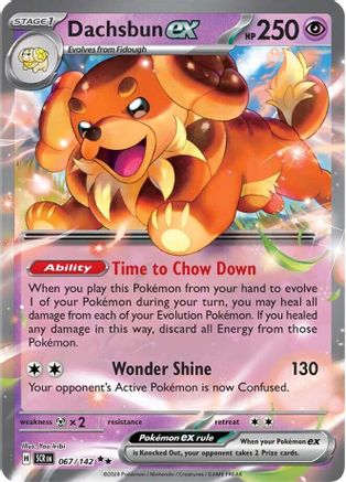 Dachsbun ex 067/142 - Holofoil Stellar Crown - Double Rare