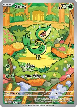 Snivy 087/086  - Holofoil SV Black Bolt
