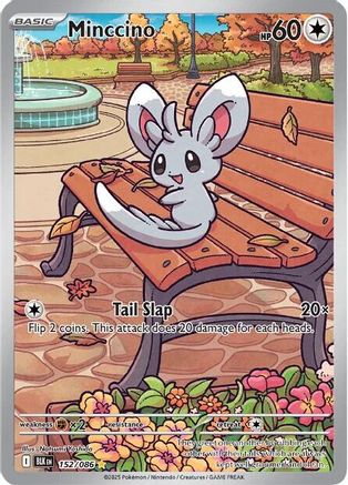 Minccino 152/086 - Holofoil Black Bolt