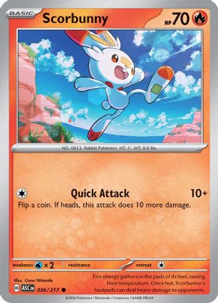 Scorbunny 036/217 Ascended Heroes