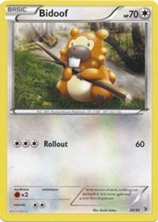 Bidoof 029  Kalos Starter Set