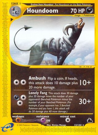 Houndoom 012/144 - Reverse Holofoil Skyridge