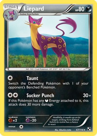 Liepard 067/114  - Reverse Holofoil Black and White