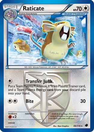 Raticate (Team Plasma) 088/116  - Reverse Holofoil Plasma Freeze