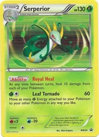 Serperior BW20  - Holofoil Black and White Promos