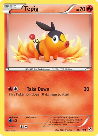 Tepig 016/114  - Reverse Holofoil Black and White