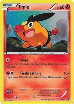 Tepig BW07  - Holofoil Black and White Promos