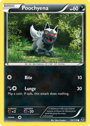 Poochyena 053/119  - Reverse Holofoil XY  Phantom Forces