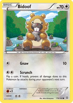 Bidoof 116/160  - Reverse Holofoil XY  Primal Clash