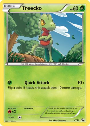 Treecko XY36  - Holofoil XY Promos
