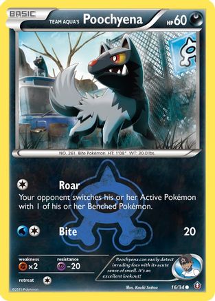 Team Aqua's Poochyena 016/34  - Reverse Holofoil Double Crisis